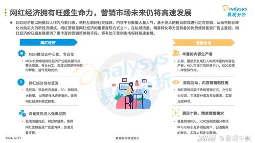 2021年中國互聯(lián)網(wǎng)廣告市場(chǎng)年度分析 互聯(lián)網(wǎng)銷售的雙重引擎